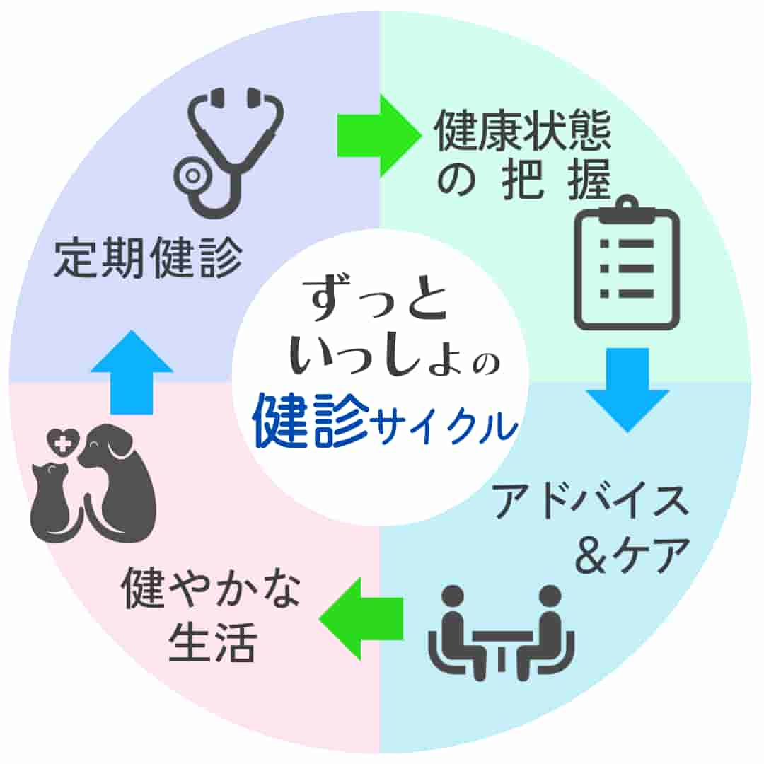 定期健診、健康状態の把握、アドバイスとケア、健やかな生活を繰り返す健診サイクルを示す図