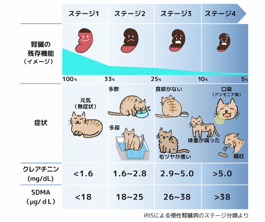 IRIS腎臓病ステージングによる表