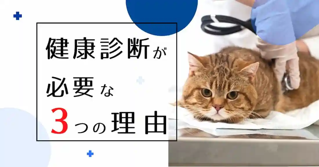 猫の健康診断を受ける3つの理由｜健診を受ける猫の画像