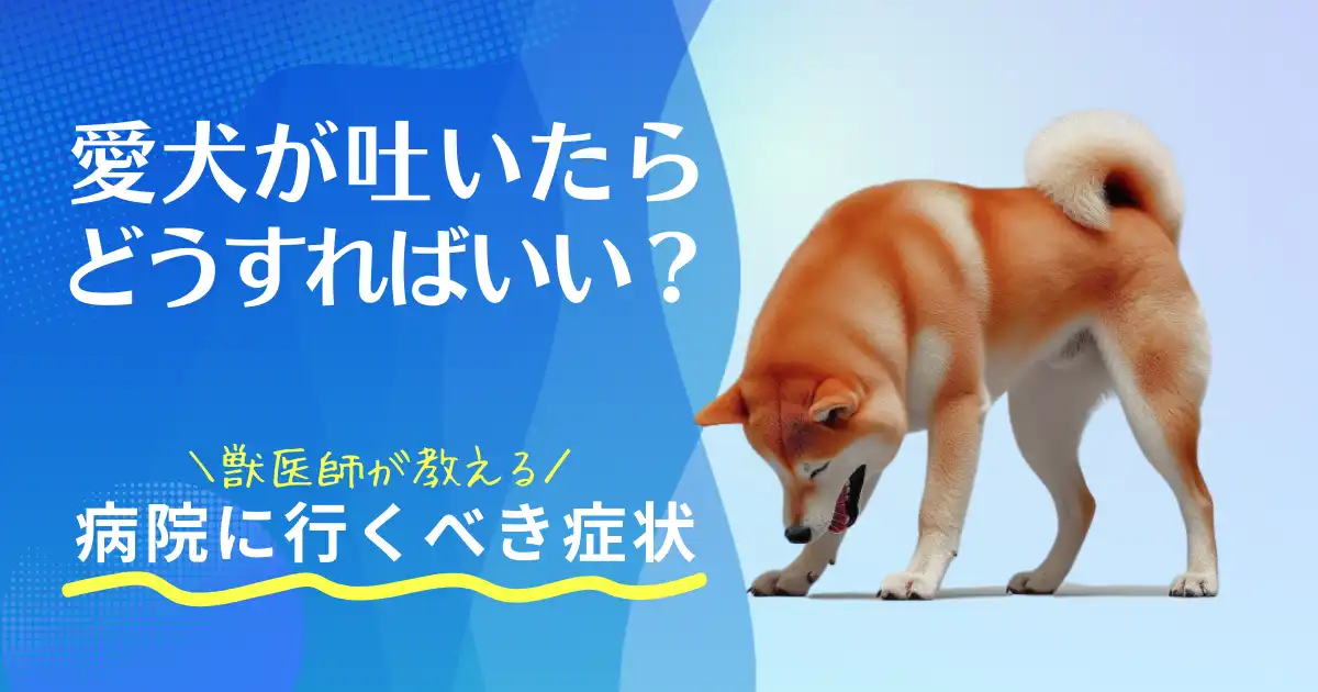 「愛犬が吐いたらどうすればいい？獣医師が教える病院に行くべき症状」と犬の画像